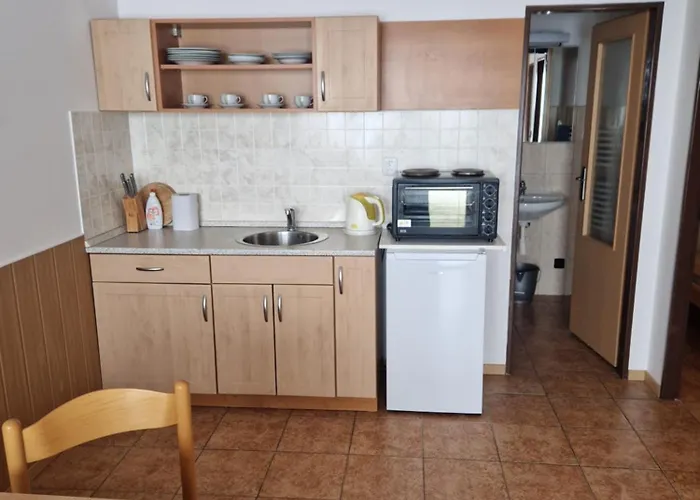 Dřevařská - Apartmán *