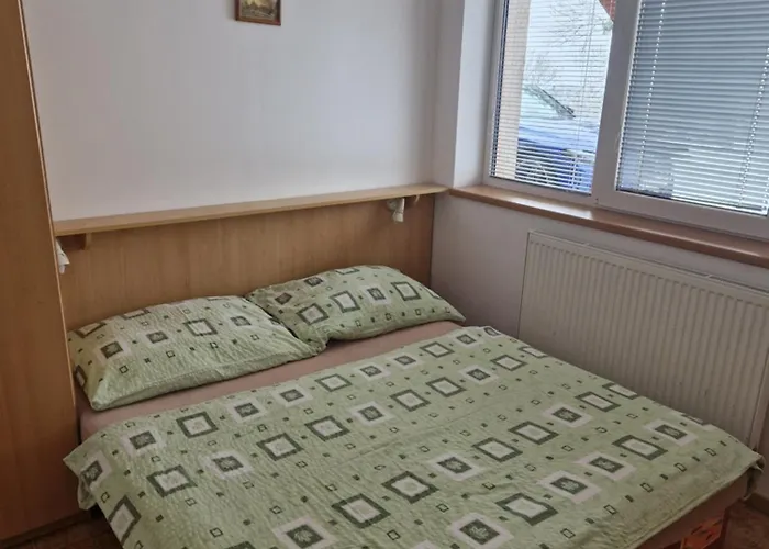 Apartmán Dřevařská -